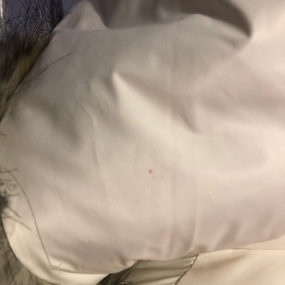 Betsey Johnson cream coat - Picture 5 of 8